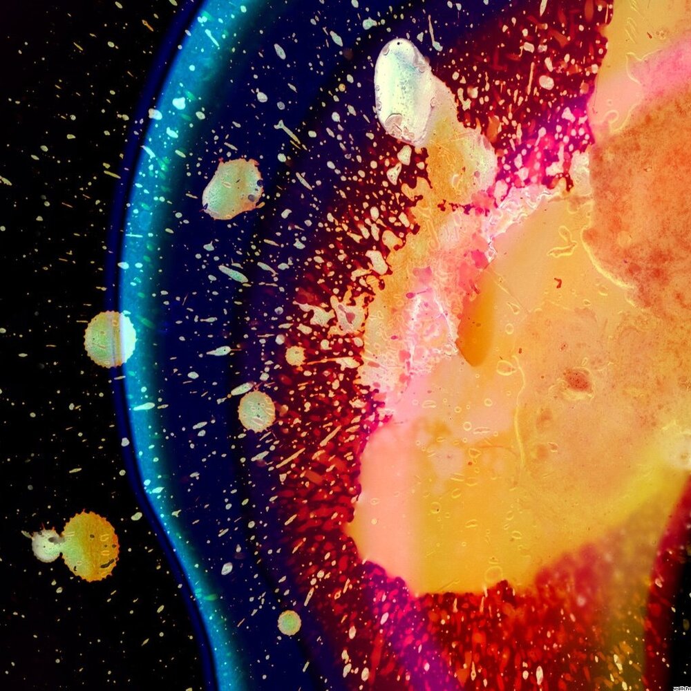 Meet your Posher, Devon